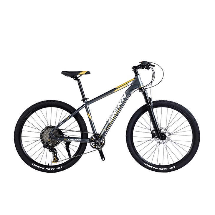 دراجات ذات دورة 29 بوصة MTB