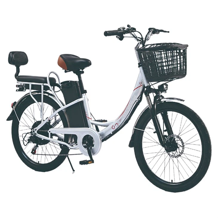 City Star Electric Bike 350W factory