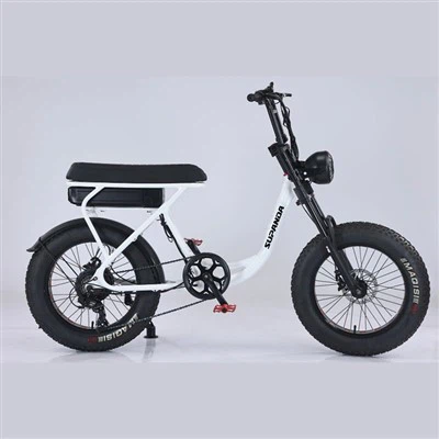 تاج مزدوج Ebike